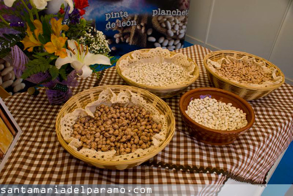 Resultado de imagen de feria multisectorial santa maria del paramo alubia