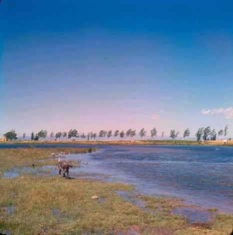 Laguna Encalada 1962