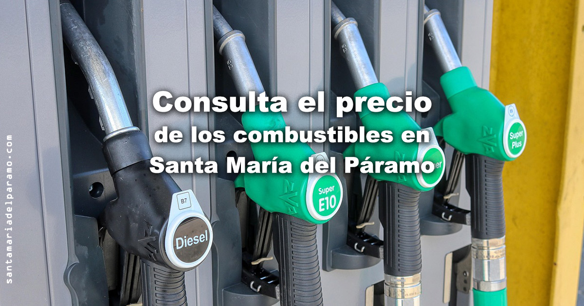 Consulta el precio de los combustibles en Santa María del Páramo