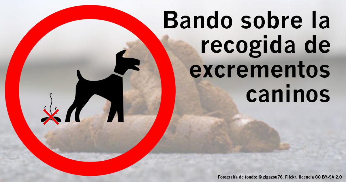 bandoperros