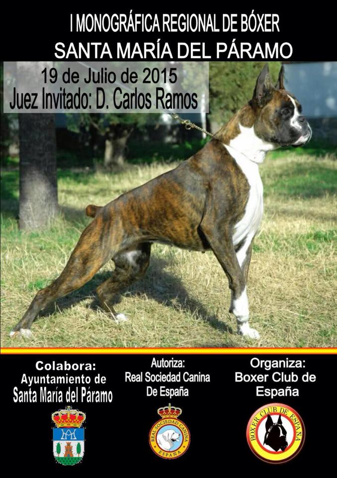 boxer2015