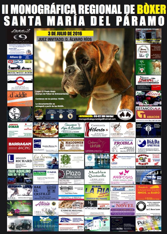 boxer2016