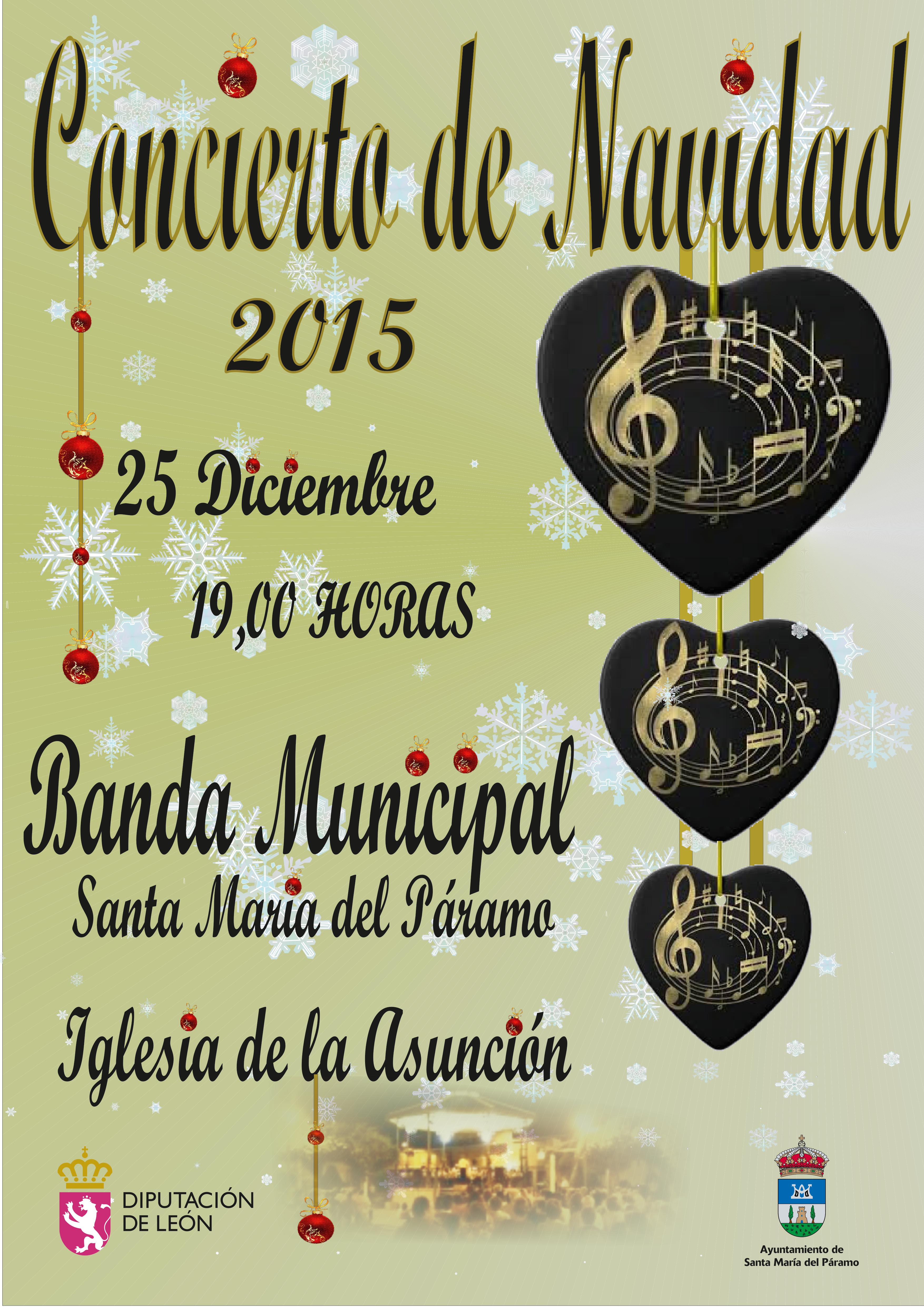 conciertonavidad2015