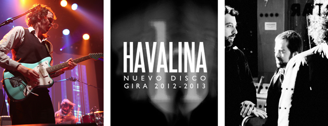 havalina2