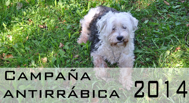 rabia2014
